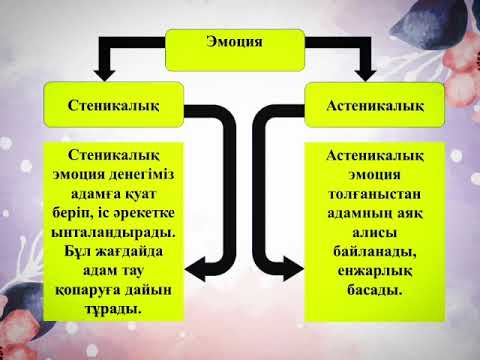 Видео: Эмоция теориясы