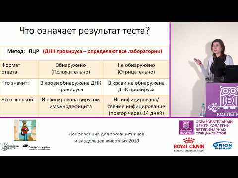 Видео: Филимонова О. Б. - Сложности диагностики ВЛК и ВИК