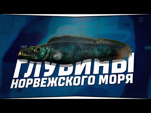 Видео: Ловля перчиками на глубинах Норвежского моря • RUSSIAN FISHING 4
