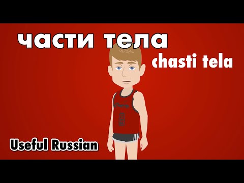Видео: Learn Useful Russian: части тела - части тела