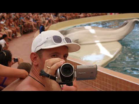 Видео: Турция 04.07.11. Бассейн. Аквапарк. Дельфинарий.