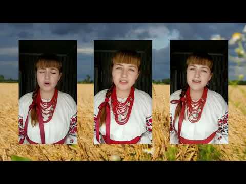 Видео: Т.Г.Шевченко "Ой чого ти почорніло зеленеє поле". Виконує Катерина Кердан - 2-й курс. анс. "Кралиця"