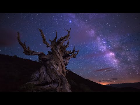 Видео: Астрофотография. Фотосъёмка ночного неба и звёзд.