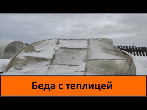 Видео: Беда с теплицей.  Теплица из поликарбоната рухнула от снега.