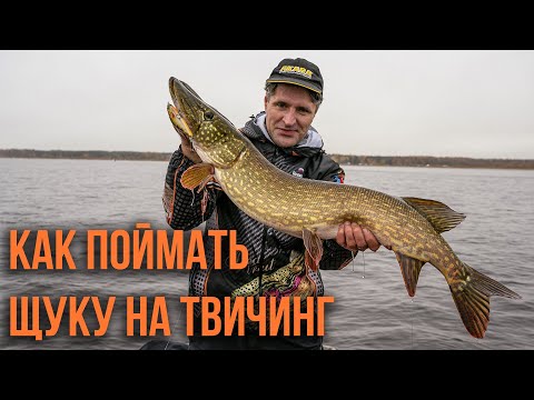 Видео: Как поймать щуку на твичинг.