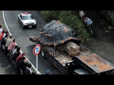 Видео: 10 САМЫХ АНОМАЛЬНО БОЛЬШИХ ЖИВОТНЫХ ПЛАНЕТЫ