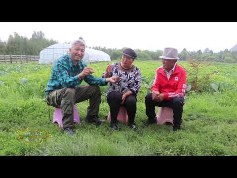 Видео: Сумандаа сайхан амьдаръя-Сэлэнгэ аймгийн Бугант тосгон 214 \ 2021 он \
