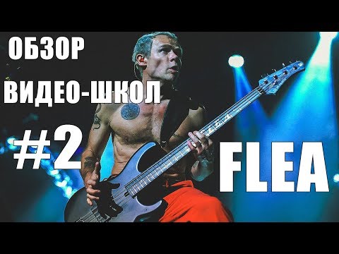 Видео: ОБЗОР ВИДЕО-ШКОЛ #2 | FLEA