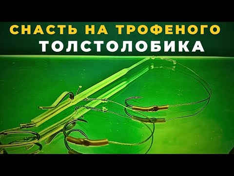 Видео: Надоело ловить мелочь Эта снасть поймает Вам заветный трофей