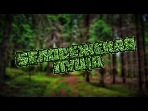 Видео: Беловежская пуща / Вело-маршрут "Большое путешествие" / Bialowieza forest