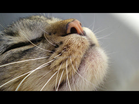 Видео: Обновлённая Игровая Комната | Androklz Room Tour V 2.0