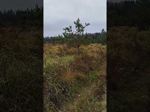 Видео: Свидание. Как знакомиться. Как понять что он твой. Как познакомиться в интернете. Где будет первое 