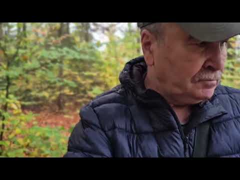 Видео: Грибы. 28 10  2025