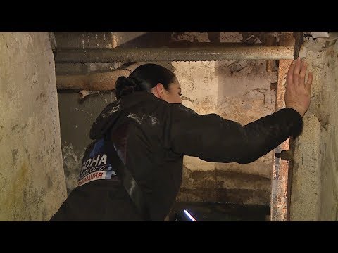 Видео: Зона особого внимания. Нечистоты в подвале. Четвёртый выпуск