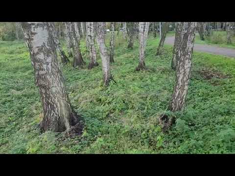 Видео: Почему таро для меня не основная работа - KS 40to41