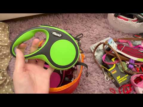 Видео: Вся амуниция моей собаки // Tre Ponti, Flexi, Rogz, TRIOL, Trixi