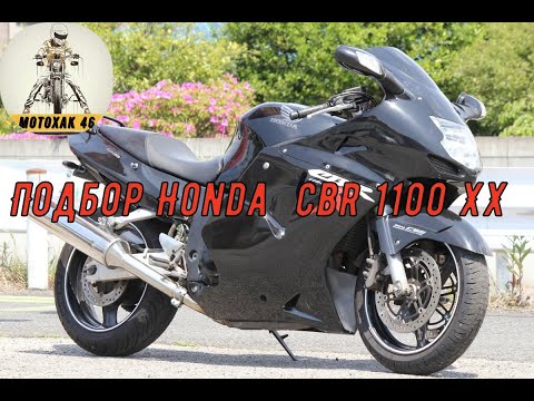 Видео: Мото подбор Honda CBR 1100 XX.