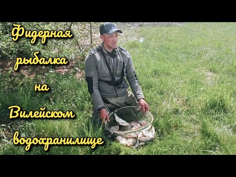 Видео: Фидерная рыбалка на Вилейском водохранилище. Ловля леща на водохранилище в мае .