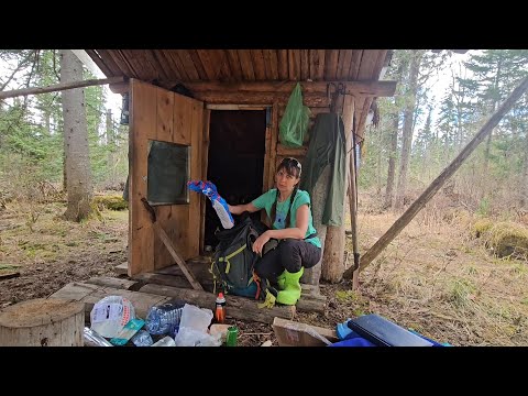 Видео: ЗЕМЛЯНКА в ТАЙГЕ. ЗАБРОСКА нужных вещей.