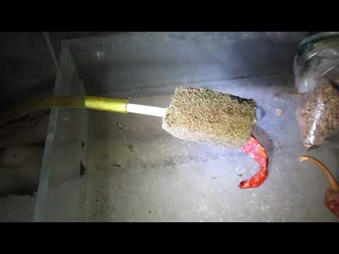 Видео: Дафния. инструкция по домашнему разведению