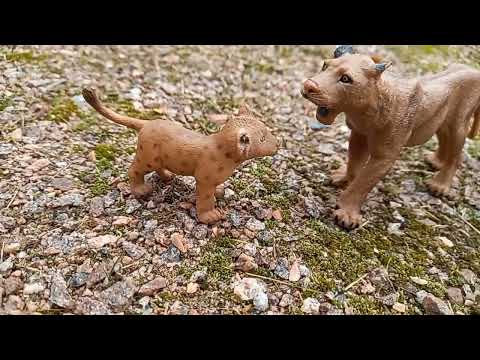 Видео: прайд львой 1 сезон 5 серия финал