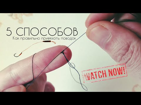Видео: 5 способов как ПРАВИЛЬНО привязать ПОВОДОК🪢🎣 НЕ ПУТАЕТСЯ !!! #рыбалка #fishing #fishingknot