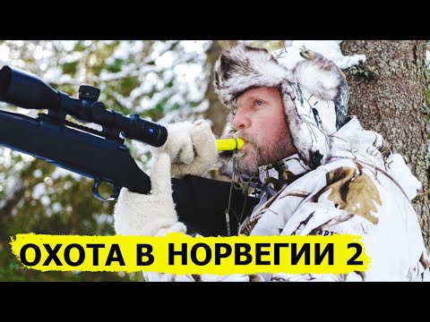Видео: Охота в Норвегии (без цензуры) 2/ NORDIC WILD HUNTER (Охотник и рыболов)
