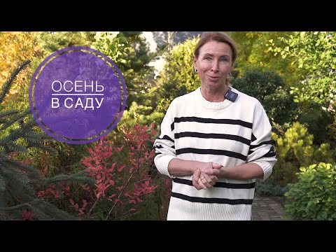 Видео: ОСЕНЬ В САДУ