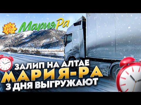 Видео: ЗАЛИП НА АЛТАЕ / МАРИЯ-РА 3 ДНЯ ВЫГРУЖАЮТ
