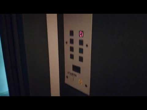 Видео: (012) Лифт ЩЛЗ (2008 г.) V=1 м/с, Q=400 кг.