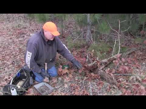 Видео: как сделать проекционный комплект для койотов и рысей