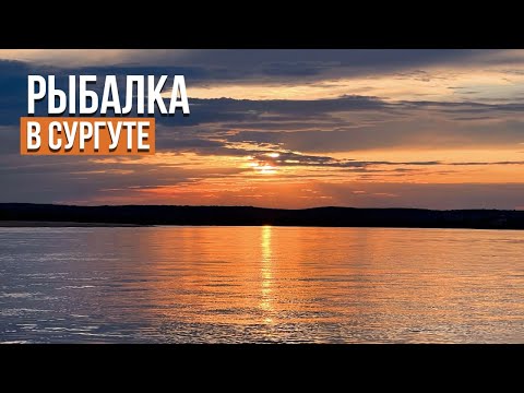 Видео: РЫБАЛКА НА ОБИ. В ПОИСКАХ ТРОФЕЙНОЙ ЩУКИ.  Ловля  щуки. Рыбалка  2023