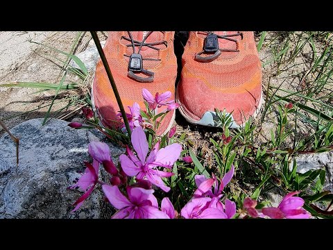 Видео: Ущелье Адыр Суу, август 2025