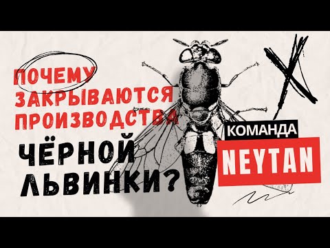 Видео: Закрываются производства чёрной львинки. В чём причина?