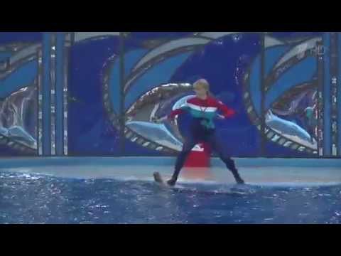 Видео: Вместе с дельфинами   Светлана Журова  Выступление  Вместе с дельфинами  Фрагмент выпуска от 10 10 2