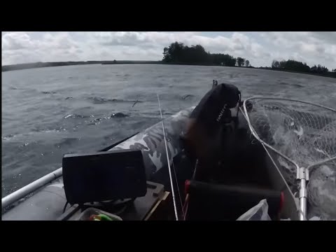 Видео: Рыбалка в шторм на Вилейке. Поплавочница всех уделала. Рыбалка в Беларуси.