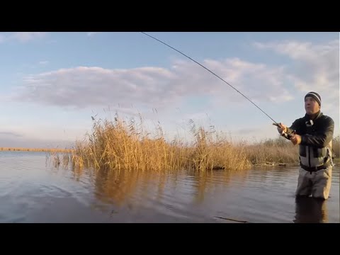 Видео: Зимний спиннинг! Ловля рыбы В ХОЛОДНОЙ ВОДЕ