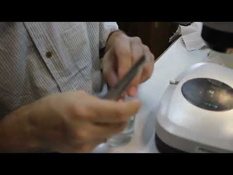 Видео: Изготовление препаратов