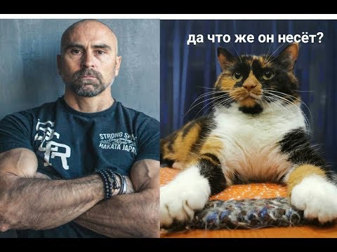 Видео: Папа Смит и его дичайшие глупости! Разбор мифов