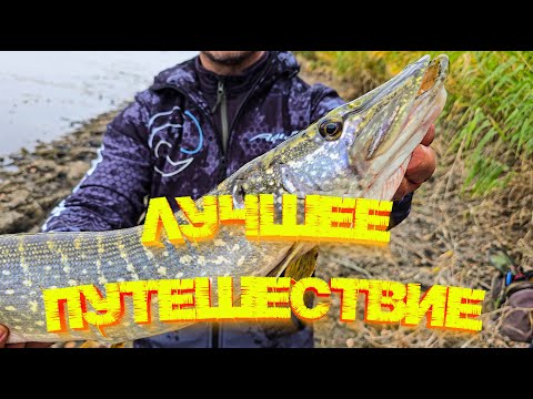 Видео: ЩУКА на ДЖИГ 💪 Путешествие на реку Северский Донец 👍