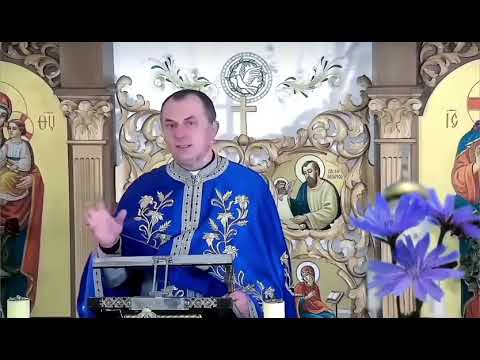 Видео: Кожна молитва🙏забирає причину хвороби🕊️оВасильКолодій