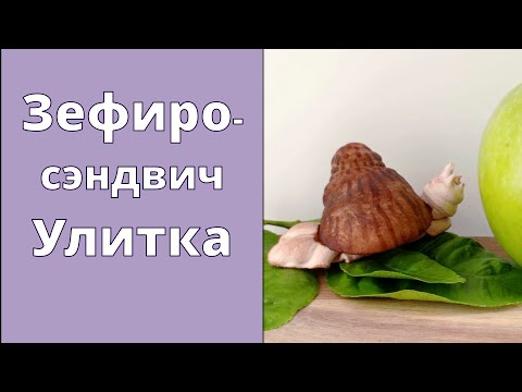 Видео: Не может быть! Виноградные улитки🐌Зефиросэндвичи