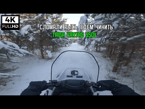 Видео: ТАЙГА ВАРЯГ 550V ПОКАТУШКА | 4K 60FPS
