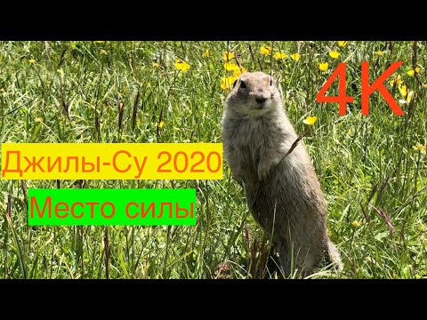 Видео: Джилы-Су 2020. 4К 60 FPS