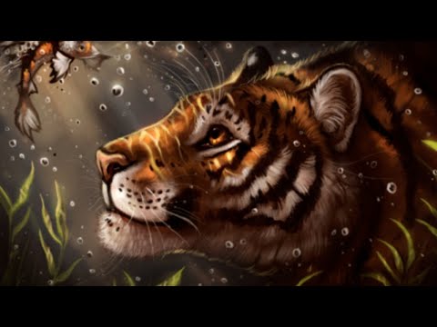 Видео: ТИГР. Характеристика рожденных в год ТИГРА и ваша стихия.
