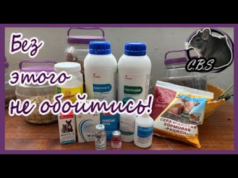 Видео: ❗ АПТЕЧКА ШИНШИЛЛОВОДА || ЧТО ДОЛЖЕН ЗНАТЬ КАЖДЫЙ ШИНШИЛЛОВОД || БЕЗ ЭТОГО НЕ ОБОЙТИСЬ