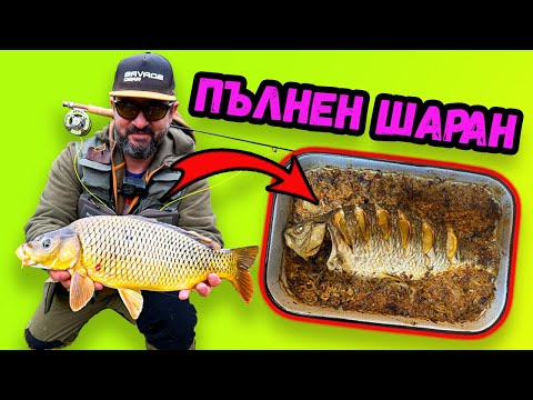 Видео: Хванах го и го СГОТВИХ за Никулден! Catch&Cook на шаран с ВКУСНА ПЛЪНКА!