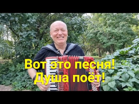 Видео: Шикарная Песня. Почему Мы Не Слышим Её по Телевизору?! Николай Засидкевич - Синеокая