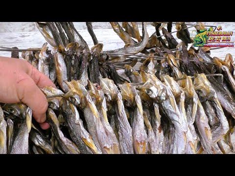 Видео: Редкий рецепт засолки корюшки, как вкусно посолить и повялить корюшку