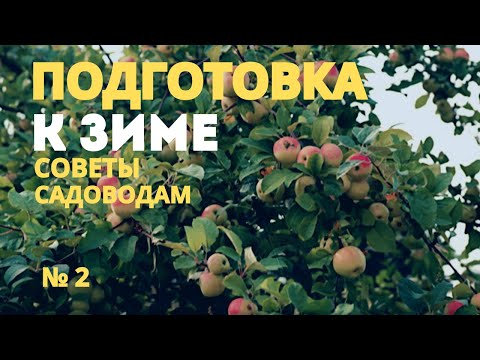 Видео: №2 ОСЕННИЕ ХЛОПОТЫ В САДУ.  "Подготовка к зиме и будущему урожаю"